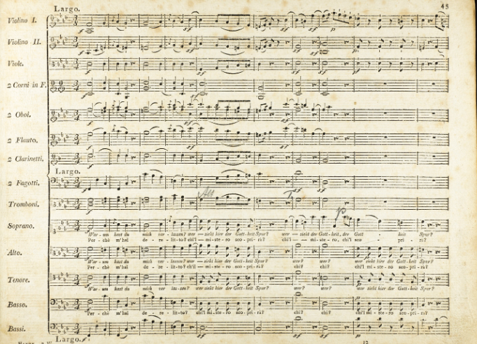 Haydn's Seven Last Words — AUSTRALIAN HAYDN ENSEMBLE